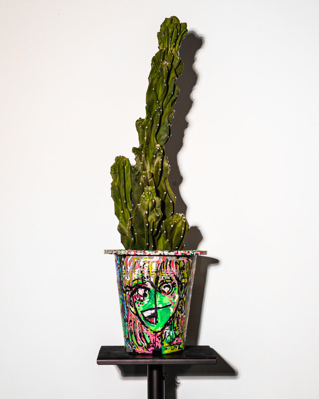 [Glitched Cactus]