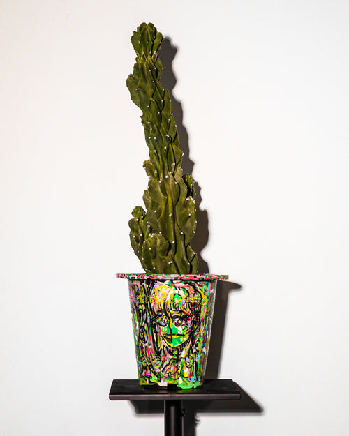 [Glitched Cactus]