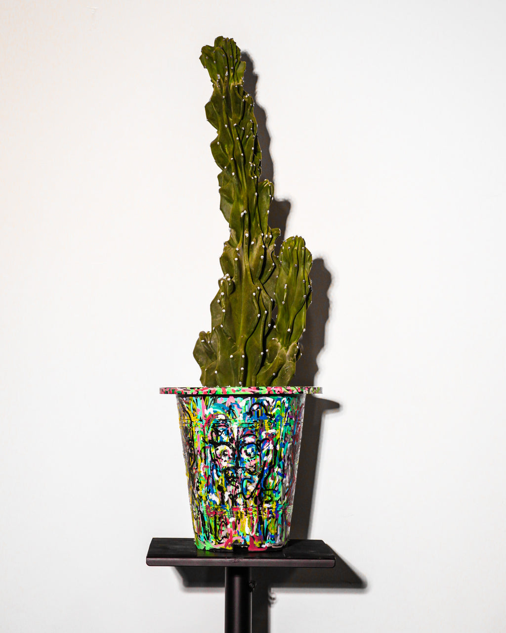 [Glitched Cactus]