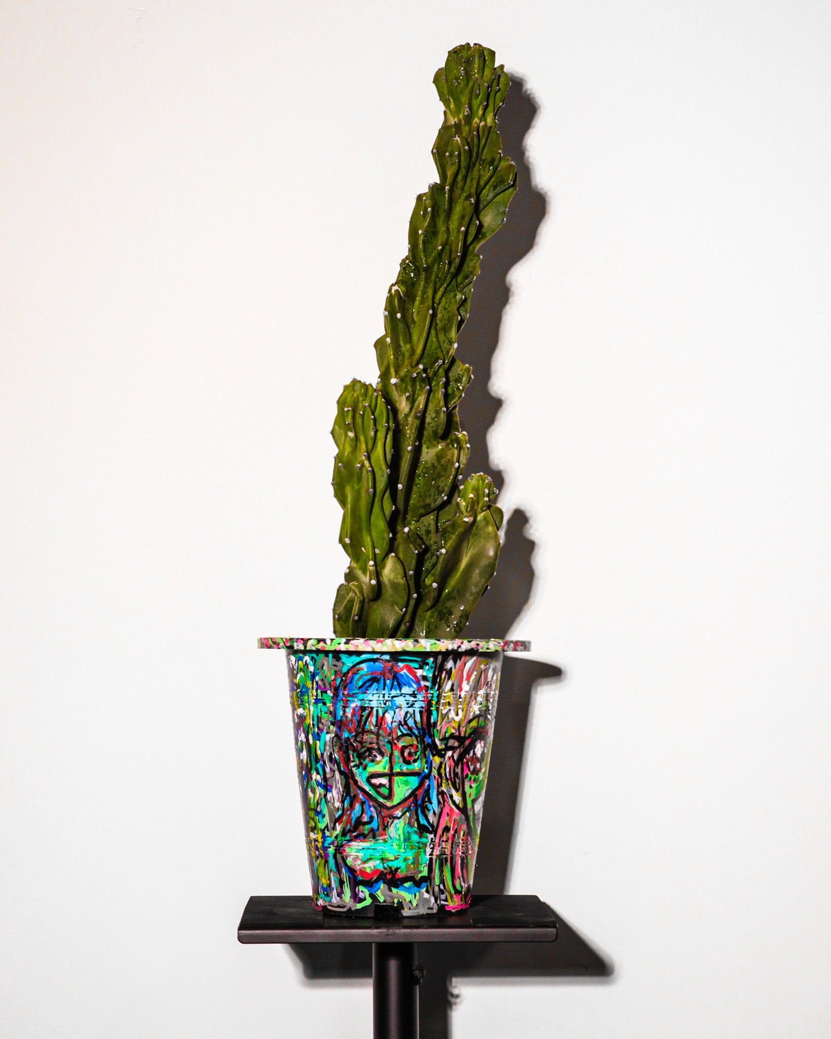 [Glitched Cactus]